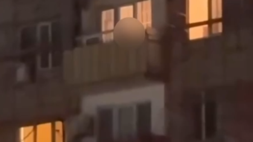  Видеодан кадр 