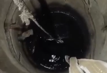 Құтқарушылар итті 5 метр тереңдіктегі құдықтан алып шықты