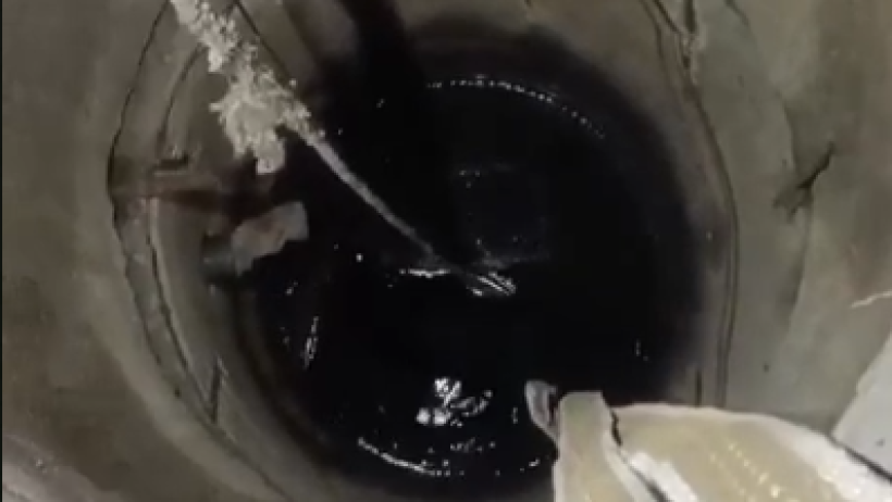  Видеодан кадр 