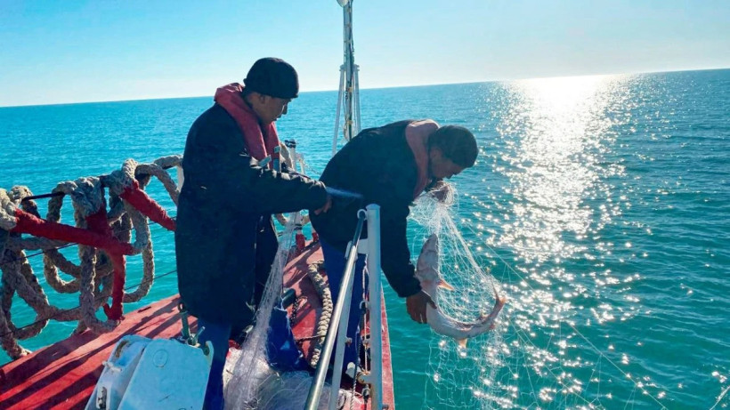  ҰҚК баспасөз қызметі 