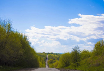 Традицией высаживать деревья по субботам стало в Карагандинском ДЧС