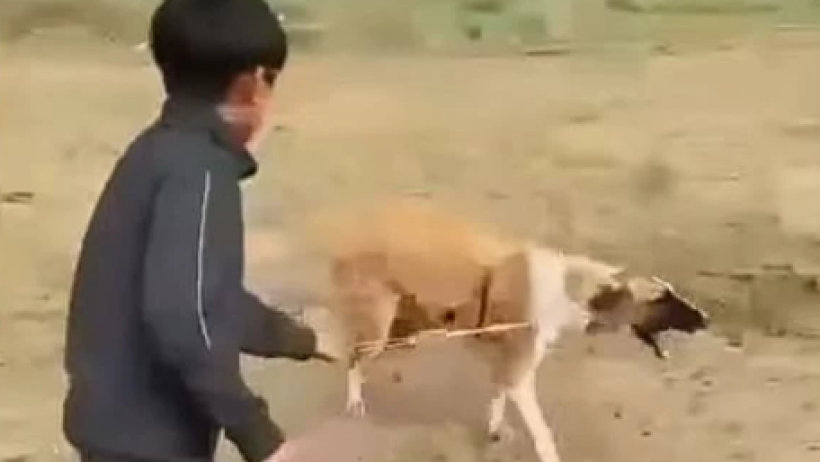  Видеодан кадр 