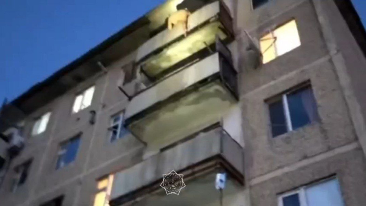  Видеодан кадр 