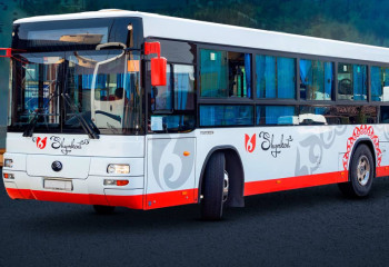 Шымкентте жайлы мектептерге қоғамдық көліктер қатынайтын болды