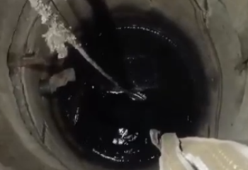 Собаку из 5-метрового колодца вызволили в Темиртау