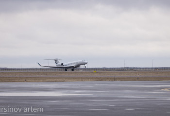 В Канаде гусь пробил лобовое стекло самолета в полете