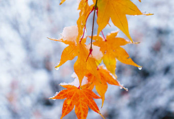 Қазақстанның басым бөлігінде қар аралас жаңбыр жауады