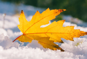 Алдағы күндері 8 гардусқа дейін күн суытады