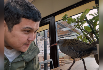 Актауский блогер Азамат Сарсенбаев приютил очередную редкую птицу