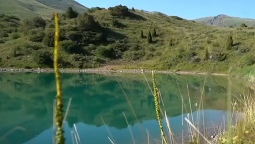  Кадр из видео 