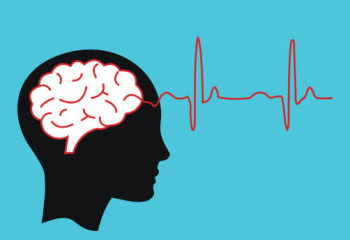 Қазақстандық Cerebra AI стартапы Шанхайдағы көрмеде таныстырылды