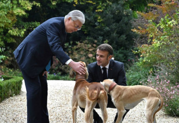 Токаев и Макрон прошлись по саду Елисейского дворца с собаками породы тазы