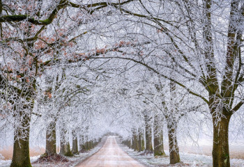 «Боран, көктайғақ, тұман». Алдағы күндері тұрақсыз ауа райы күтіледі