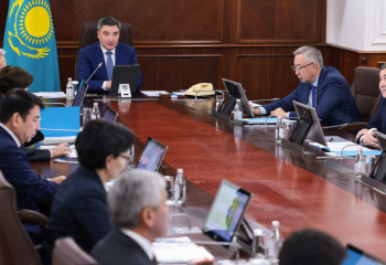 Olzhas Bektenov orders to scale up positive experience in supporting persons with disabilities