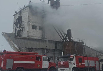 Спасатели МЧС потушили пожар в сушильной камере