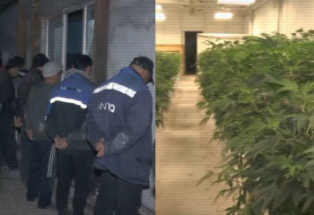 ІІМ балық шаруашылығы ретінде жасырылған есірткі бизнесін жойды