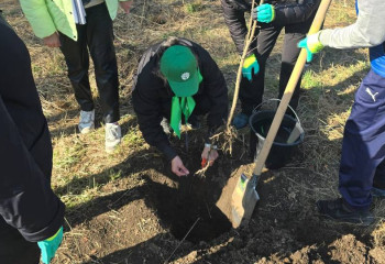 Новый проект по сохранению  уникальных видов Яблони Сиверса представили в Алматы