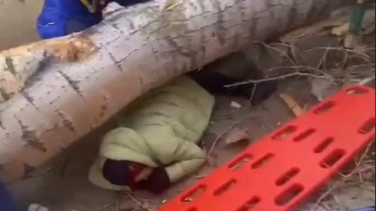  screenshot from a video 