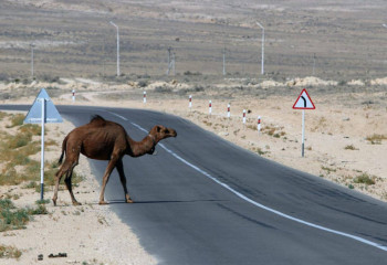 Как проект «Ауыл аманаты» меняет Мангистаускую область