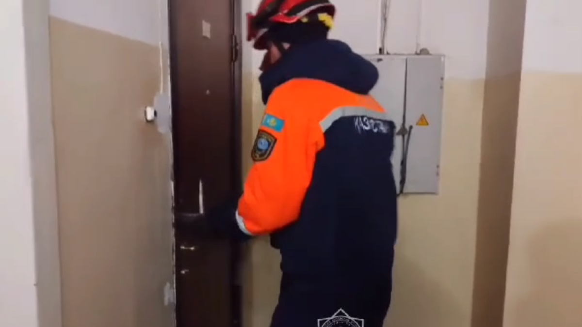  Видеодан кадр 