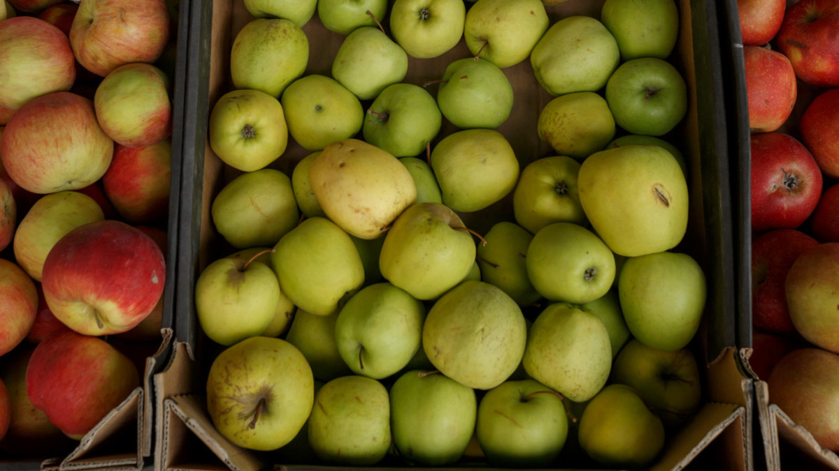  © El.kz/Артем ЧУРСИНОВ 