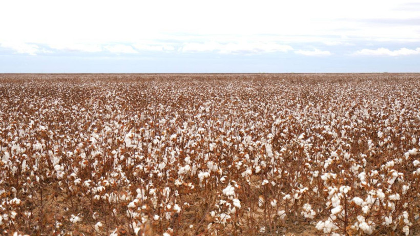  © Минсельхоз 