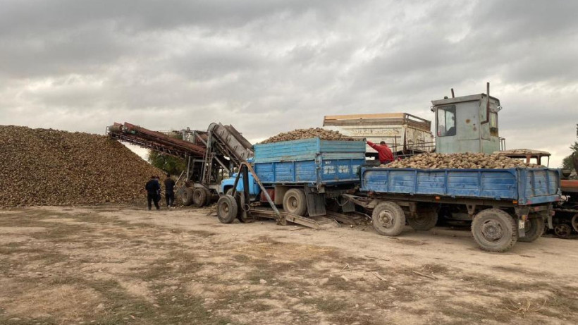  © Минсельхоз 