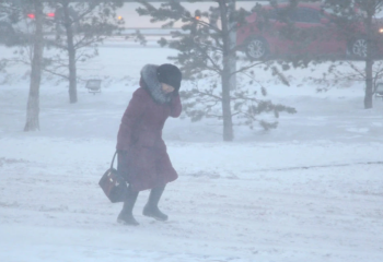 Павлодарда дауылдың кесірінен 76 нысан бүлінді