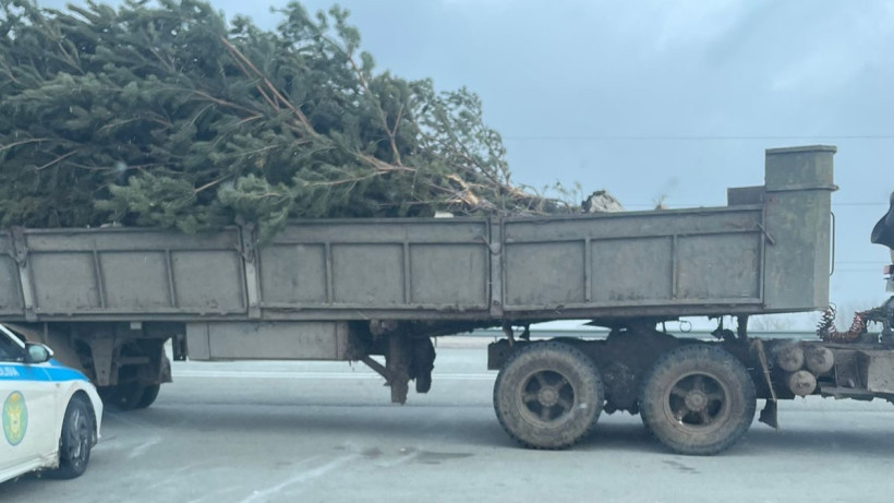  © ДП Акмолинской области 