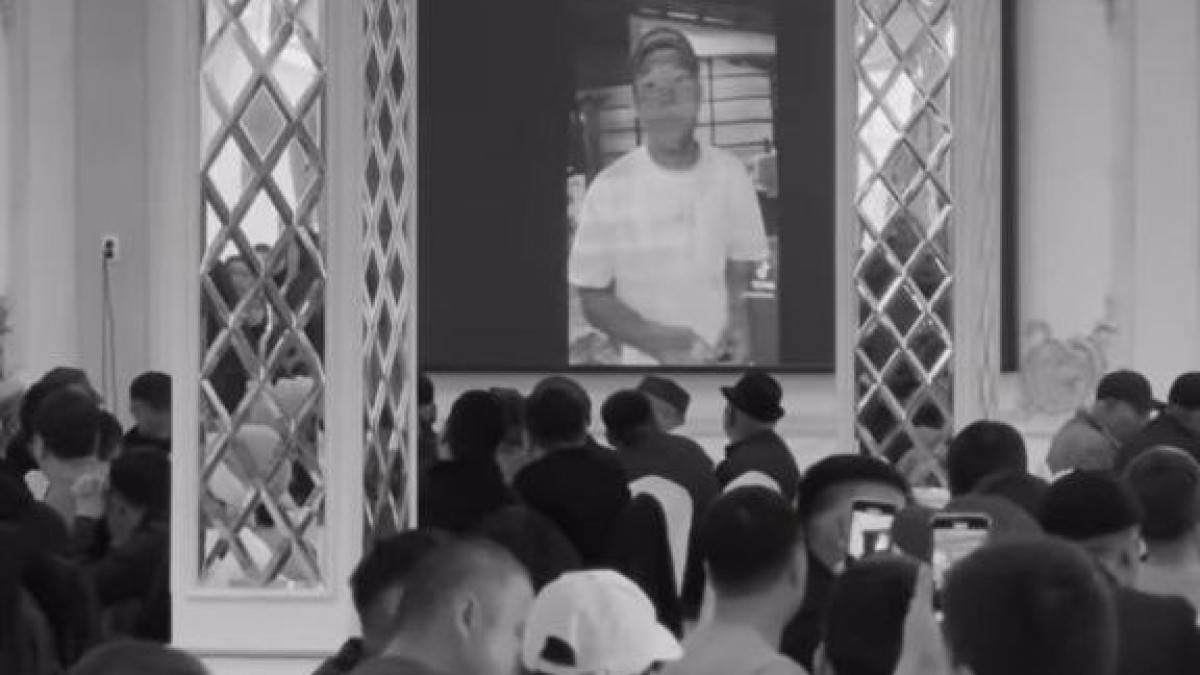  Видеодан кадр 