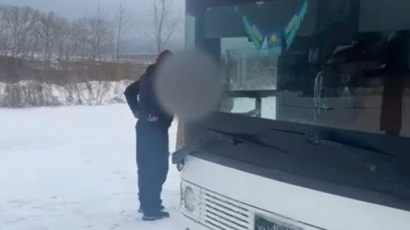  Видеодан кадр 