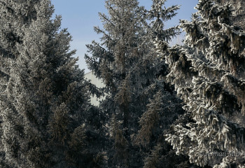 Спасатели МЧС помогли пожилому мужчине, заблудившемуся в непогоду