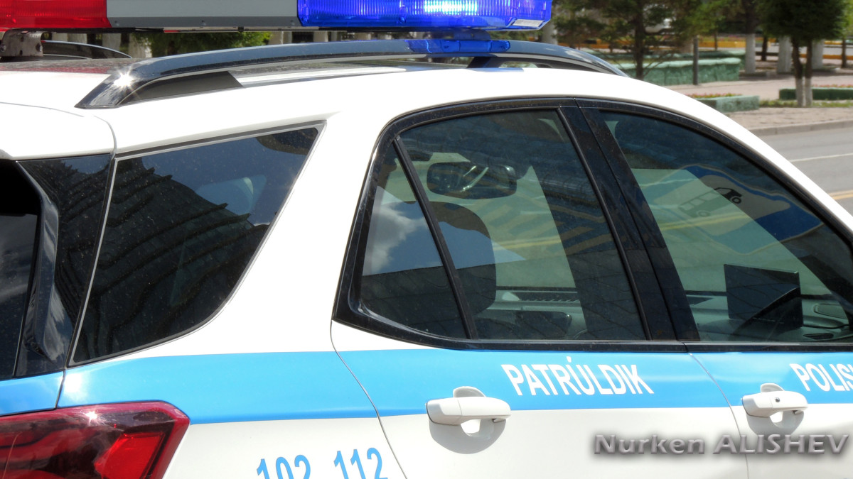  El.kz/Нуркен Алишев 