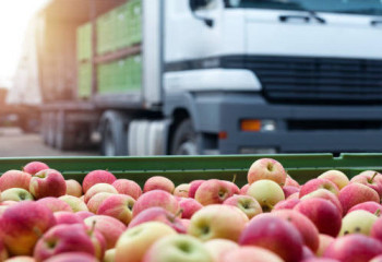 Алма тиелген 8 жүк көлігі шекарада заңсыз тұрып қалған