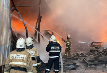 Алматы облысында азық-түлік дүкені мен дәріхана өртке оранды