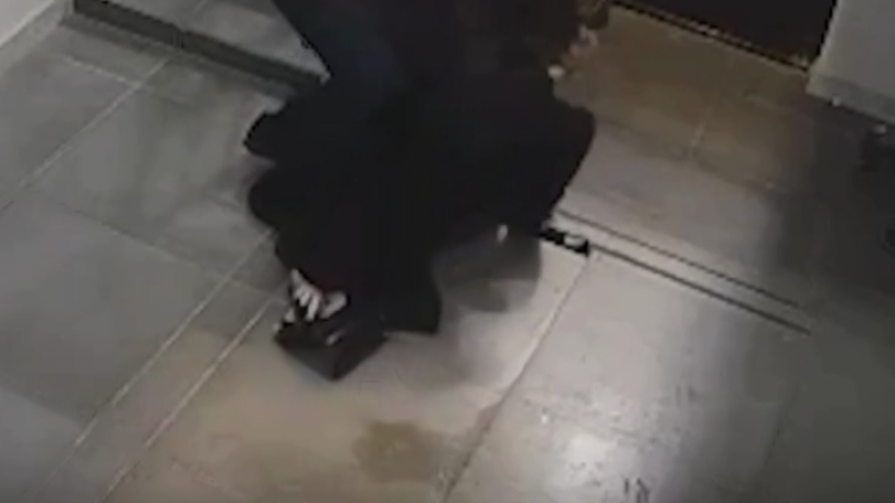  Видеодан кадр 