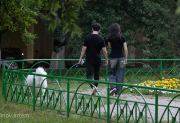 Тоғыз айда Қазақстаннан 10 мыңнан астам адам кеткен