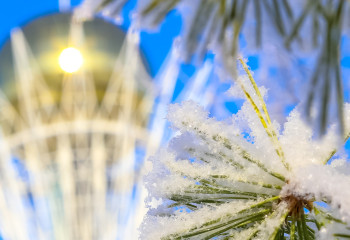 Алдағы күндері 25 градус аяз күтіледі