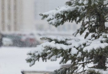 Штормовое предупреждение по Казахстану: ухудшение погодных условий в нескольких регионах