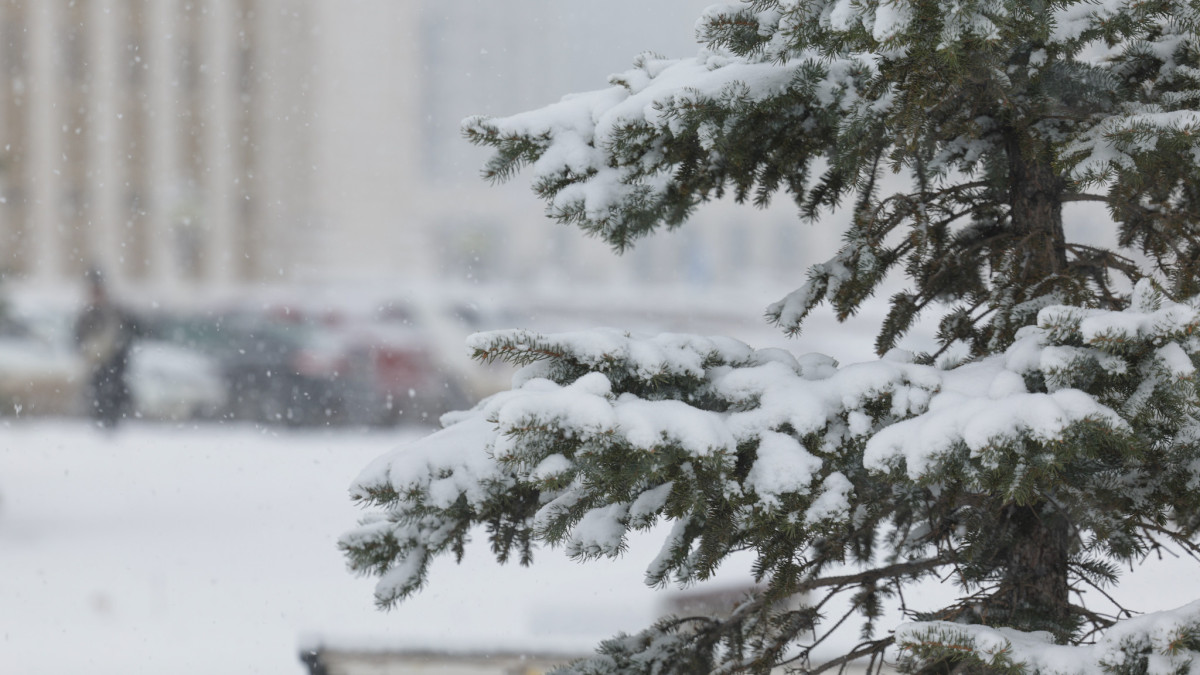  © El.kz/Арман МУХАТОВ 