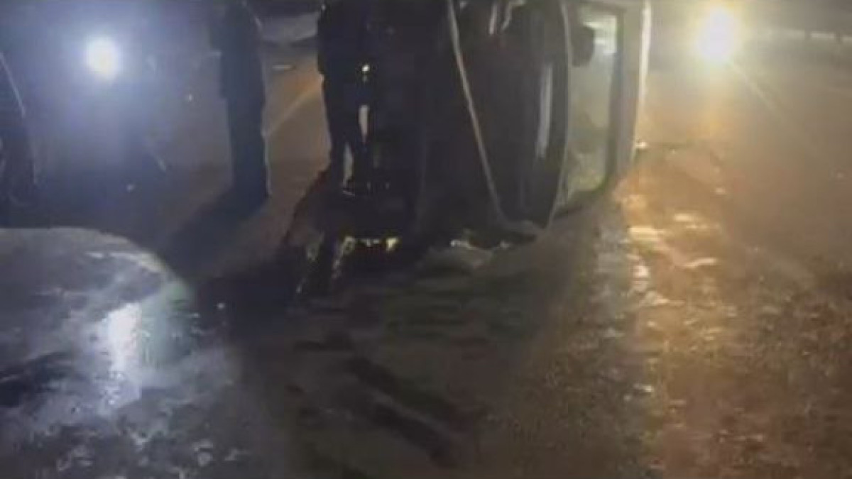  Видеодан кадр 