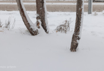 Готова ли область Абай к паводкам-2025