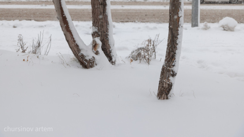  ©El.kz/ Артем ЧУРСИНОВ 