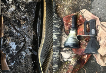 СҚО-да заңсыз аң аулаған күдіктілер ұстады