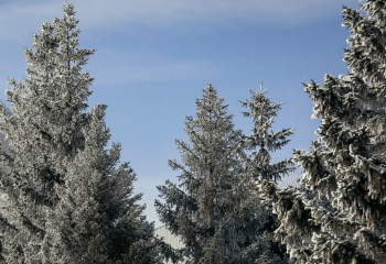 Сильные осадки и туман ожидаются в Казахстане
