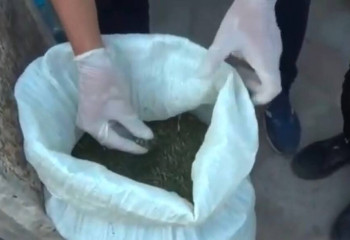 12 кг наркотиков обнаружено у машиниста станции Шу