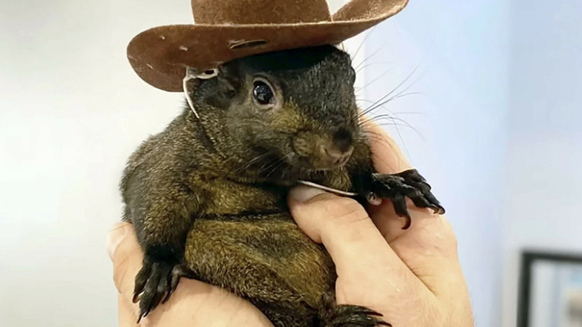  Mark Longo/Instagram 