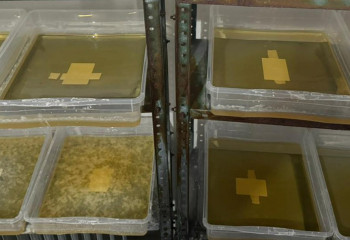 В Алматы ликвидирована подпольная лаборатория, производившая мефедрон