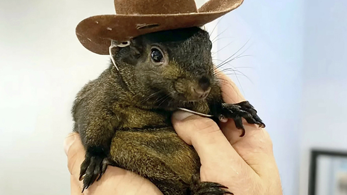  Mark Longo/Instagram 