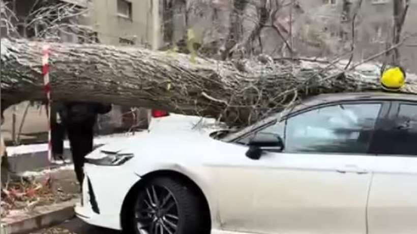  t.me/kris_p_almaty_official 